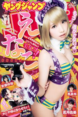 大英雄狄青